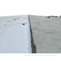 Best selling SRD HDPE Pre-applied Membrane for waterproofing